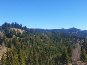 Hotels in Lunca De Jos